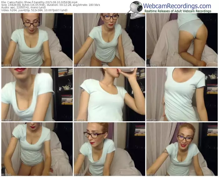 cams-sarashy-public-show-08_10_2015-00_56_38