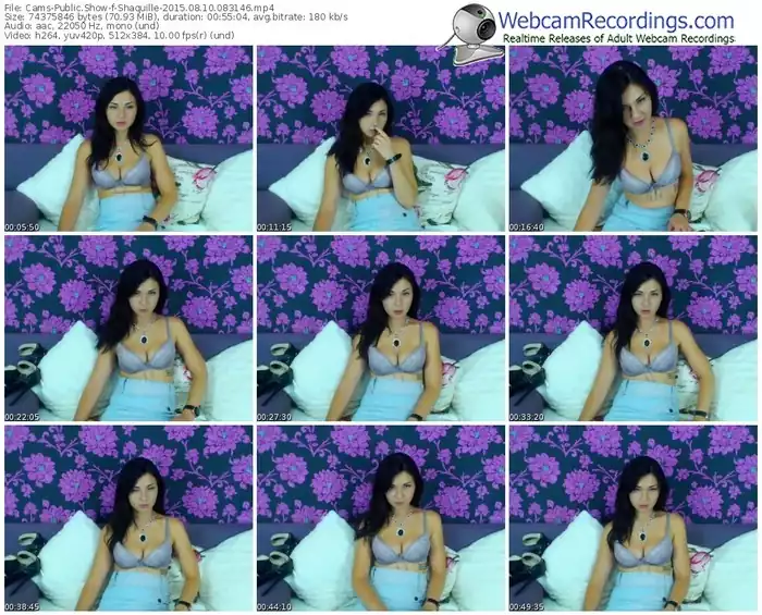 cams-shaquille-public-show-08_10_2015-08_31_46