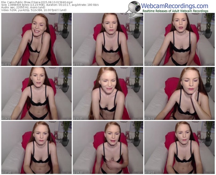cams-siera-public-show-08_10_2015-01_56_40