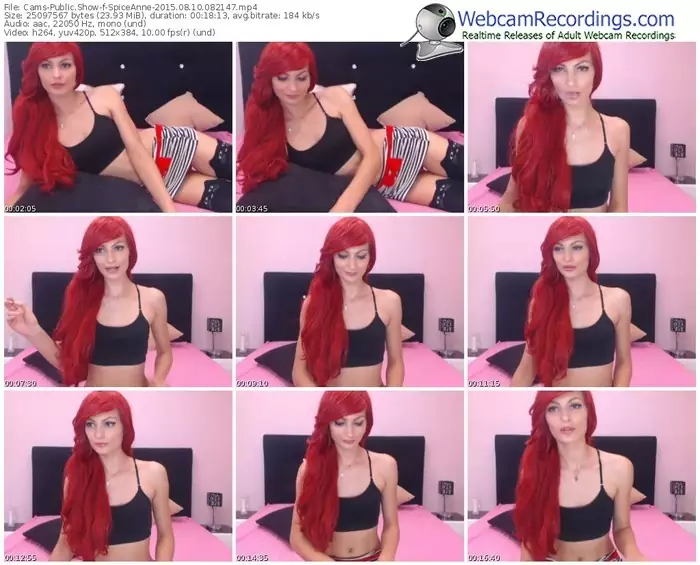 cams-spiceanne-public-show-08_10_2015-08_21_47