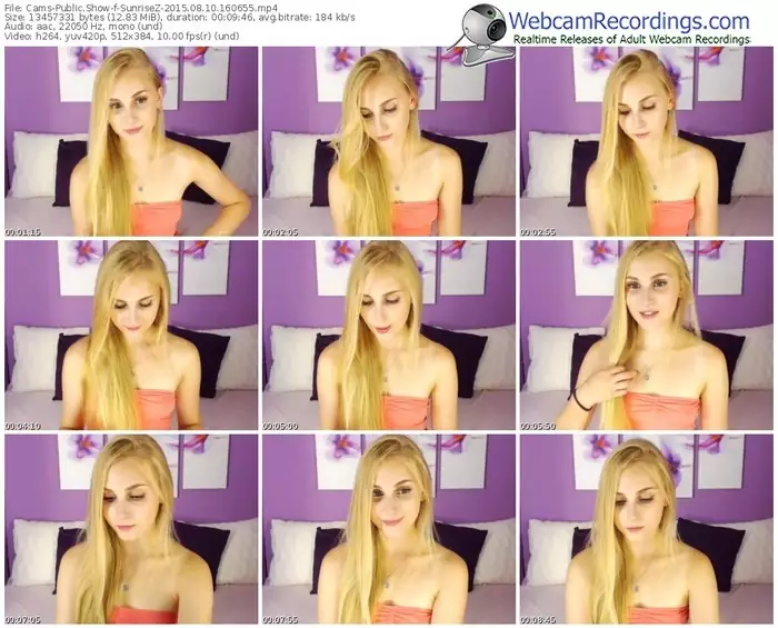 cams-sunrisez-public-show-08_10_2015-16_06_55