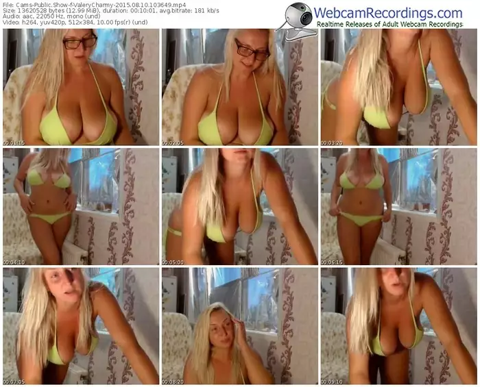 cams-valerycharmy-public-show-08_10_2015-10_36_49