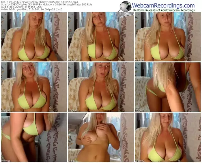 cams-valerycharmy-public-show-08_10_2015-11_21_50