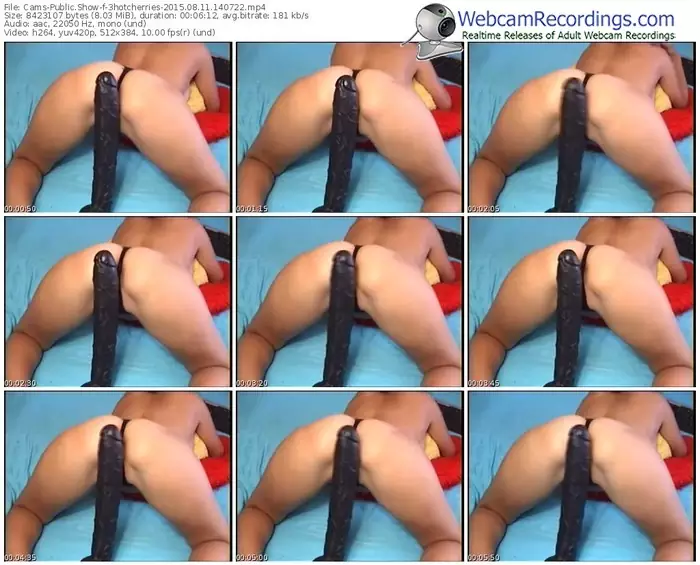 cams-3hotcherries-public-show-08_11_2015-14_07_22