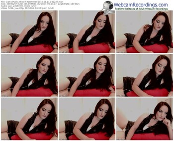 cams-allmond-public-show-08_11_2015-18_22_27