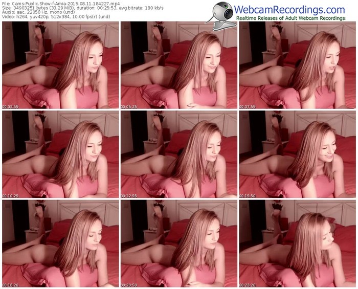 cams-amia-public-show-08_11_2015-18_42_27