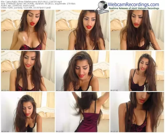 cams-belleivonne-public-show-08_11_2015-13_47_20