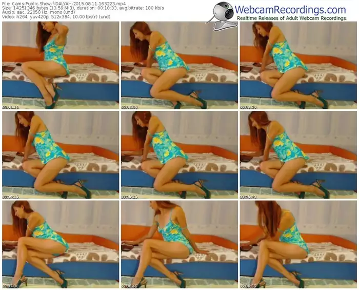 cams-dalyah-public-show-08_11_2015-16_32_23