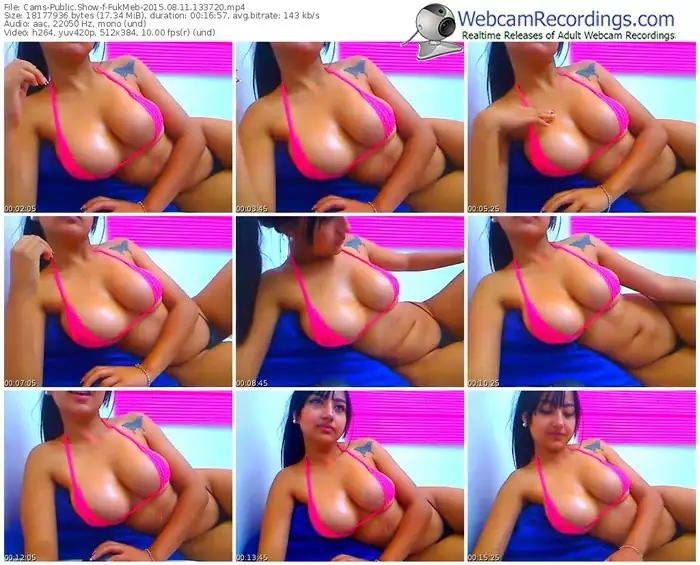 cams-fukmeb-public-show-08_11_2015-13_37_20