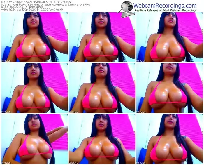 cams-fukmeb-public-show-08_11_2015-14_17_21