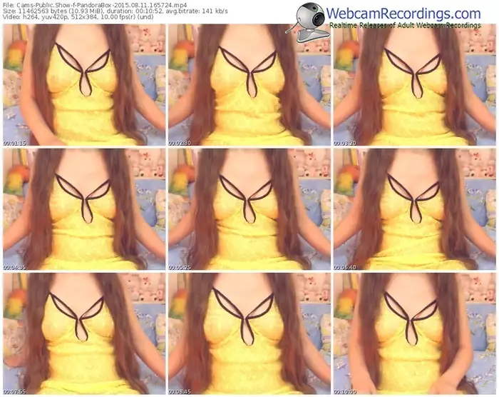 cams-pandorabox-public-show-08_11_2015-16_57_24