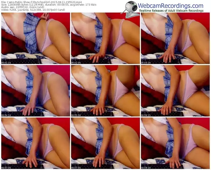 cams-shyschoolgirl-public-show-08_11_2015-23_55_20