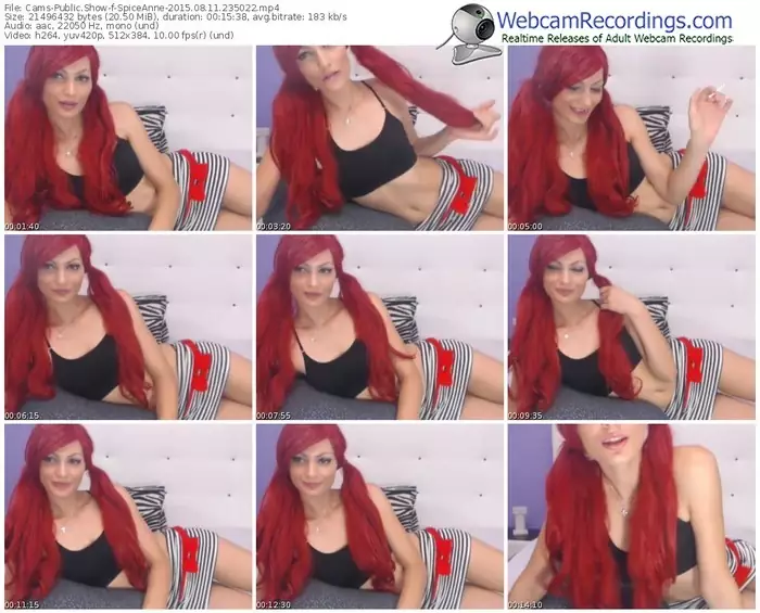 cams-spiceanne-public-show-08_11_2015-23_50_22