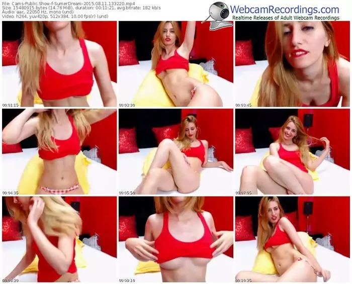cams-sumerdream-public-show-08_11_2015-13_32_20