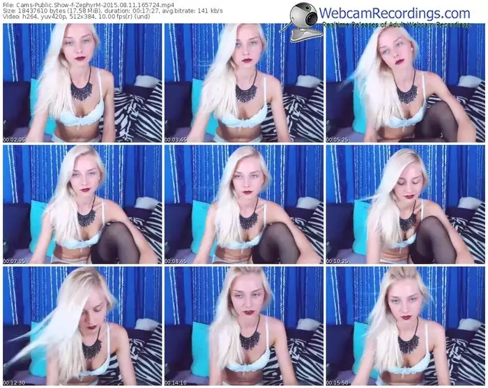 cams-zephyrm-public-show-08_11_2015-16_57_24