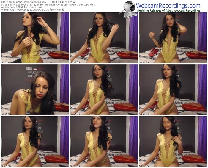 cams-evadesire-public-show-08_11_2015-14_27_21