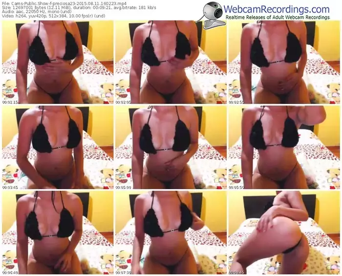 cams-preciosa23-public-show-08_11_2015-16_02_23