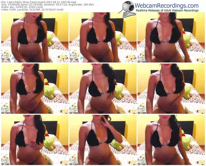 cams-preciosa23-public-show-08_11_2015-18_37_28