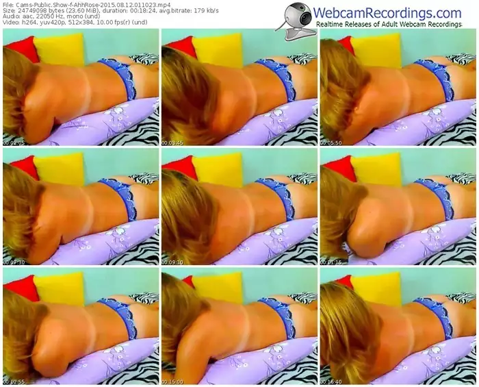 cams-ahhrose-public-show-08_12_2015-01_10_23