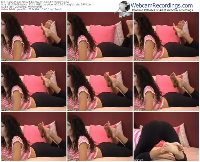 cams-alecsa-public-show-08_12_2015-06_10_27