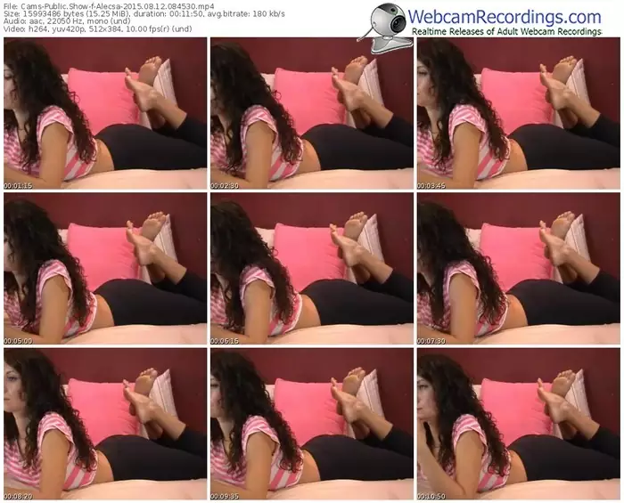 cams-alecsa-public-show-08_12_2015-08_45_30