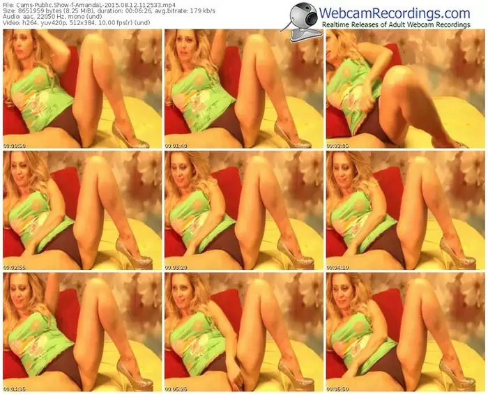 cams-amandal-public-show-08_12_2015-11_25_33