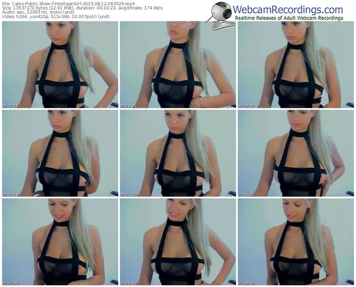 cams-hooligangirl-public-show-08_12_2015-06_35_29