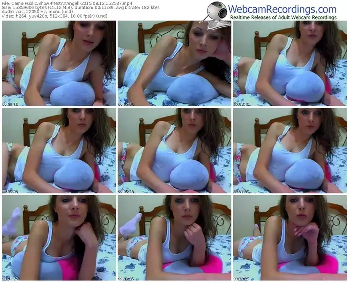 cams-notanangell-public-show-08_12_2015-15_25_37