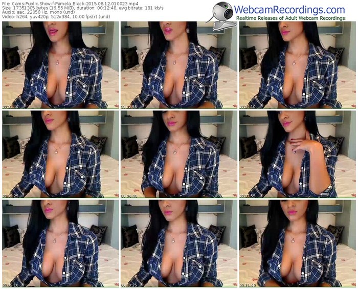 cams-pamela_black-public-show-08_12_2015-01_00_23