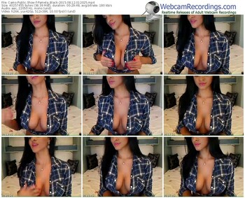 cams-pamela_black-public-show-08_12_2015-01_20_25