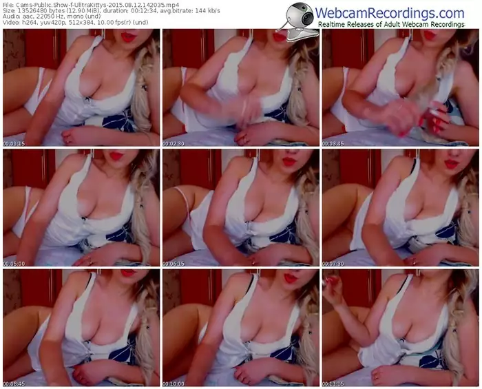 cams-ulltrakittys-public-show-08_12_2015-14_20_35