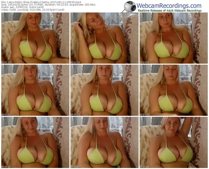 cams-valerycharmy-public-show-08_12_2015-13_50_35