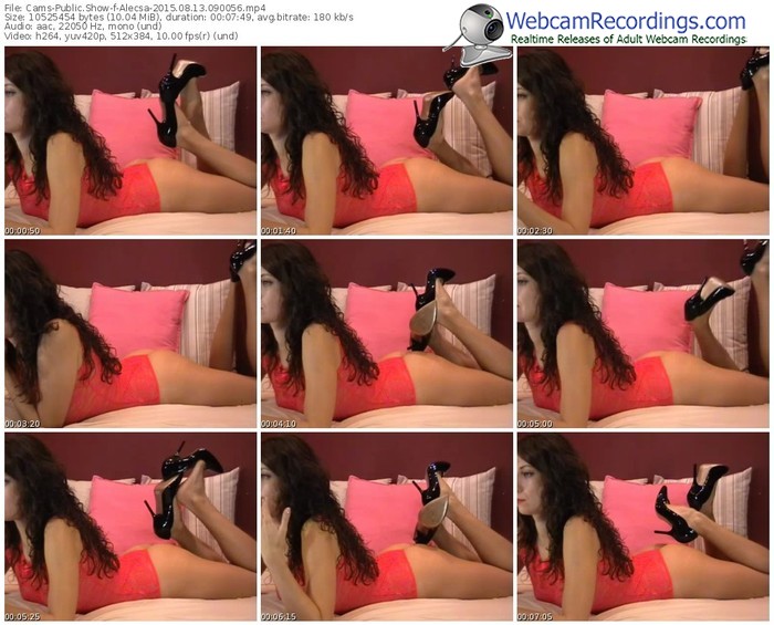 cams-alecsa-public-show-08_13_2015-09_00_56