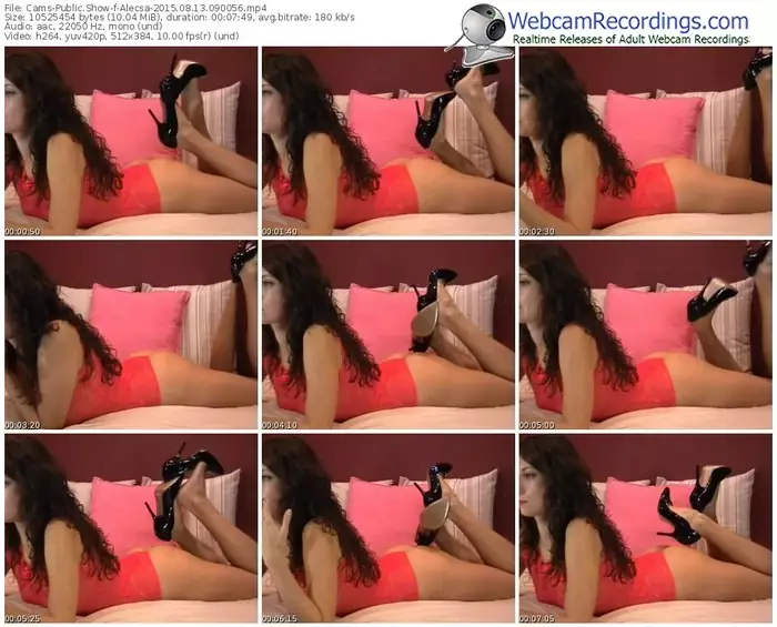 cams-alecsa-public-show-08_13_2015-09_00_56