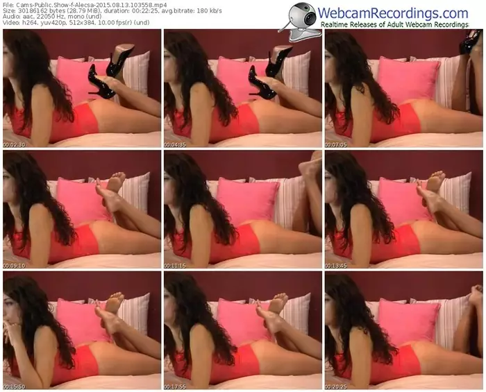 cams-alecsa-public-show-08_13_2015-10_35_58