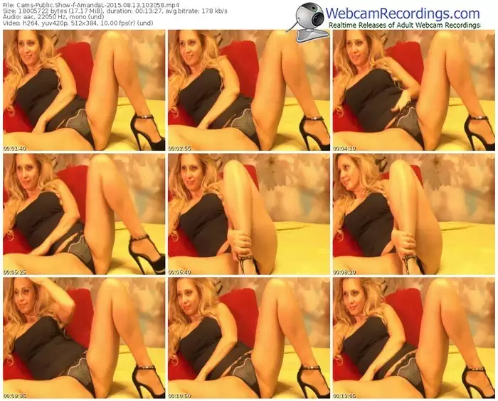 cams-amandal-public-show-08_13_2015-10_30_58