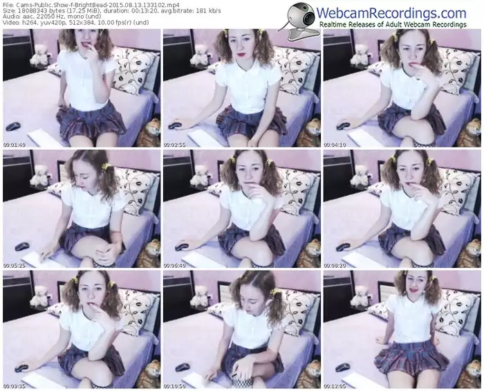 cams-brightbead-public-show-08_13_2015-13_31_02