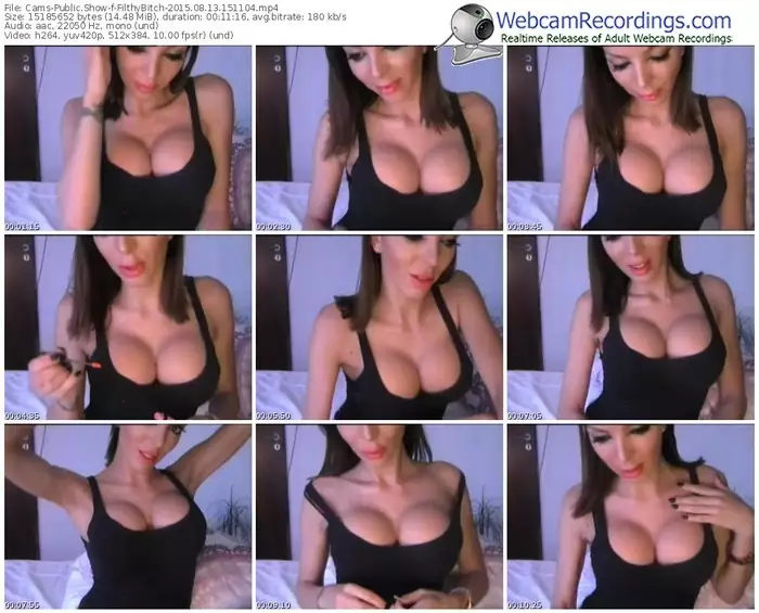 cams-filthybitch-public-show-08_13_2015-15_11_04