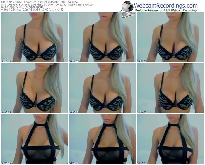 cams-hooligangirl-public-show-08_13_2015-07_15_54