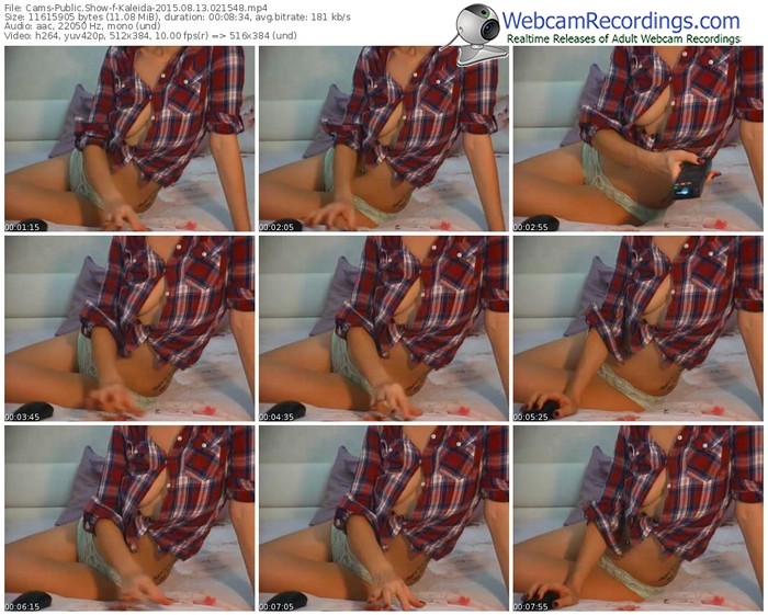 cams-kaleida-public-show-08_13_2015-02_15_48