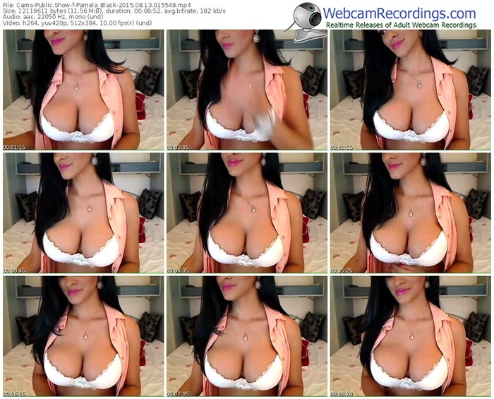 cams-pamela_black-public-show-08_13_2015-01_55_48