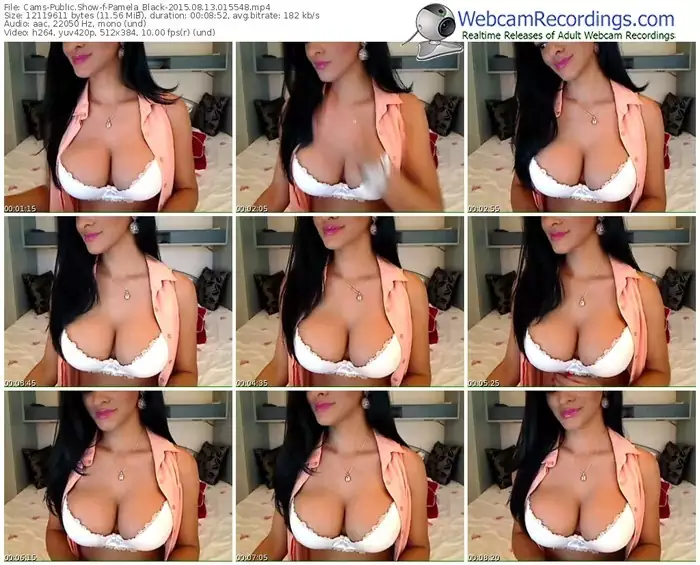 cams-pamela_black-public-show-08_13_2015-01_55_48