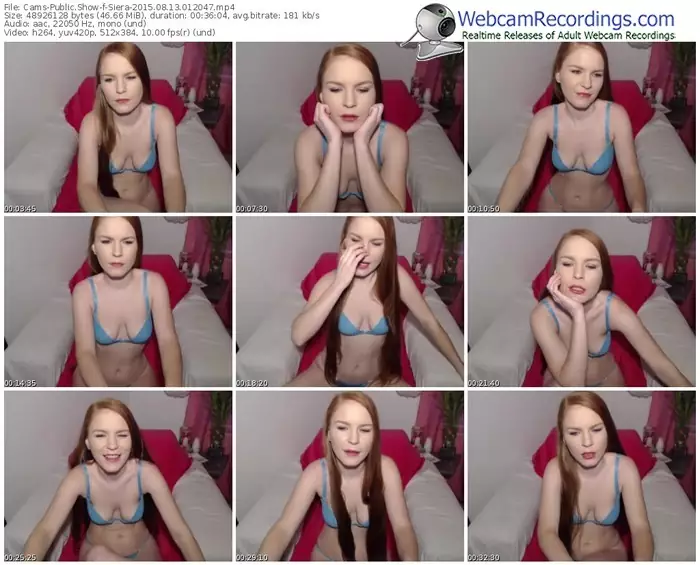 cams-siera-public-show-08_13_2015-01_20_47