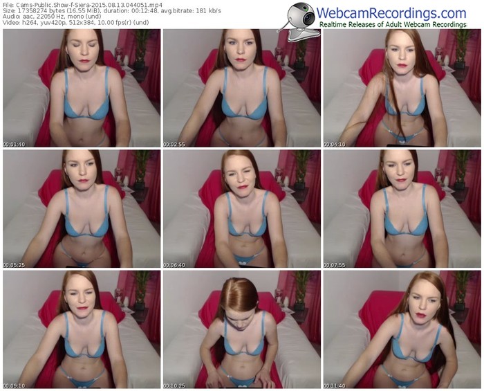 cams-siera-public-show-08_13_2015-04_40_51