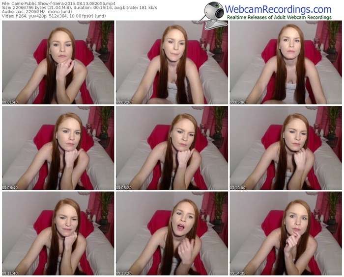 cams-siera-public-show-08_13_2015-08_20_56