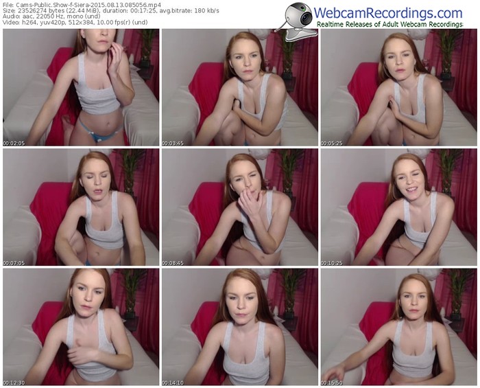 cams-siera-public-show-08_13_2015-08_50_56