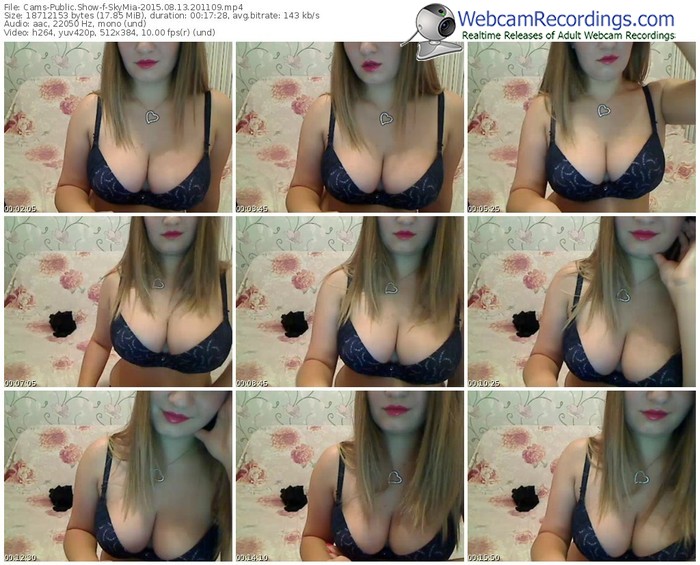 cams-skymia-public-show-08_13_2015-20_11_09