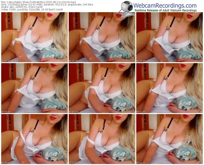 cams-ulltrakittys-public-show-08_13_2015-11_51_00