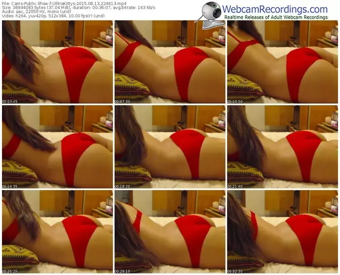 cams-ulltrakittys-public-show-08_13_2015-22_46_13