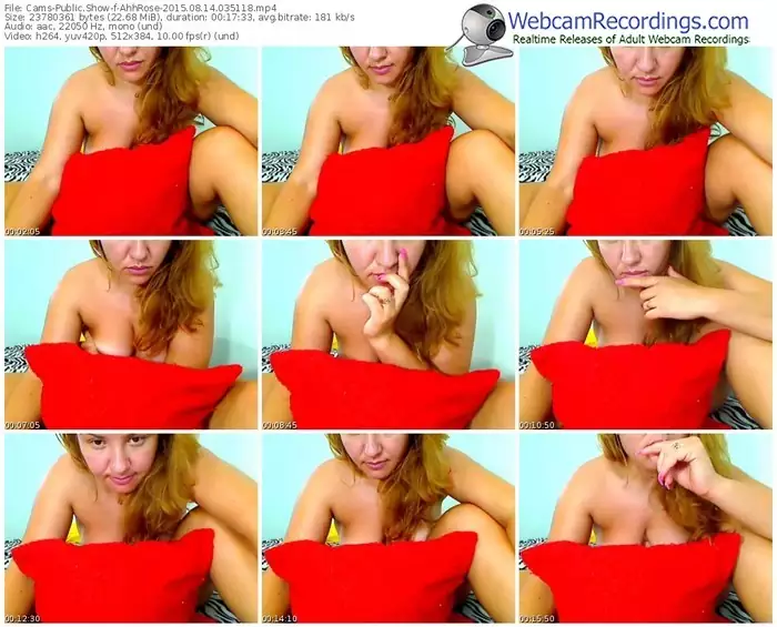 cams-ahhrose-public-show-08_14_2015-03_51_18